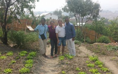 Nos potagers cultivés